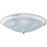 Потолочный светильник MAYTONI DIAMETRIK C907-CL-02-W